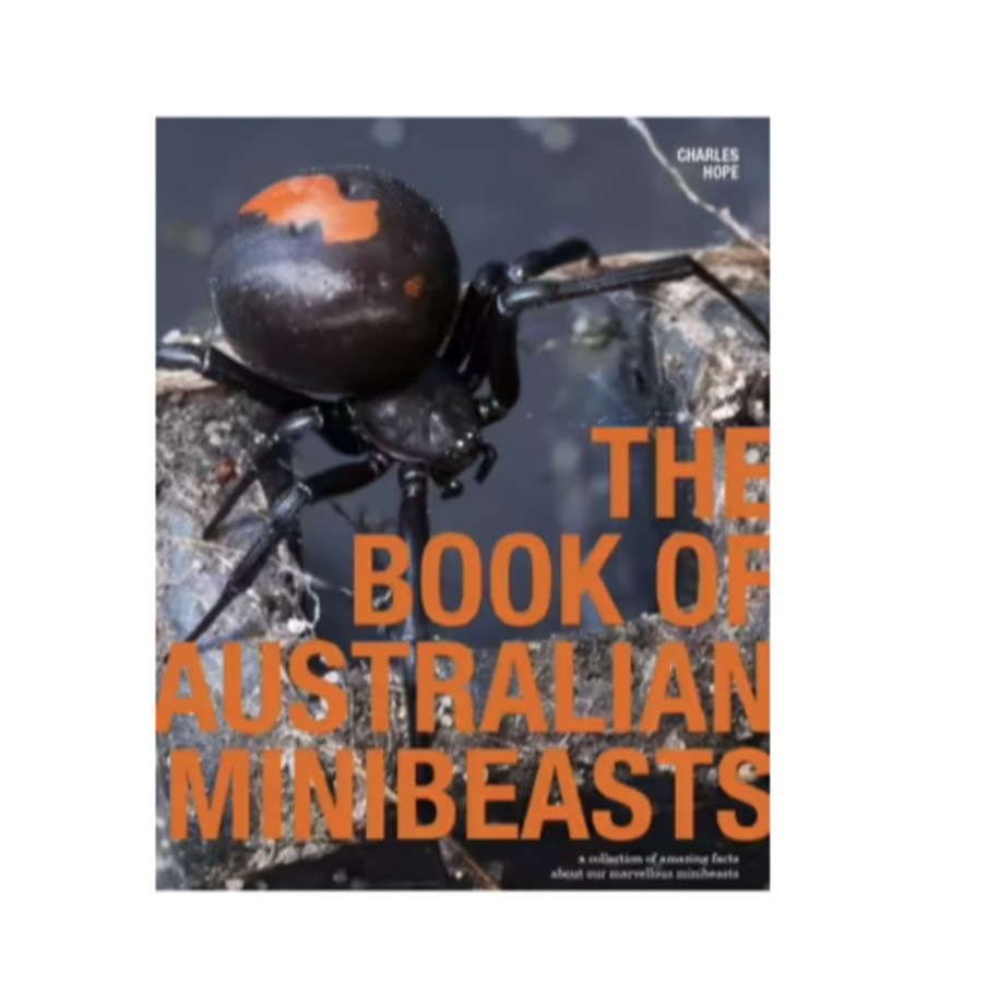 Toys & Activites Brolly Books | Book Of Australian Minibeasts