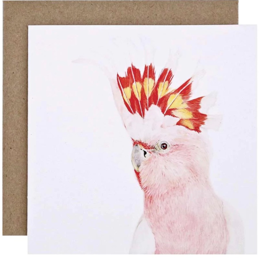 For Mums & Dads For Me By Dee | Mitch The Major Mitchell Cockatoo Greeting Card