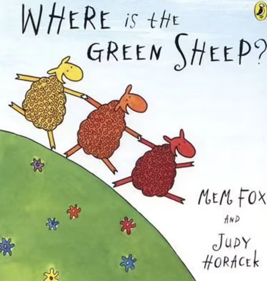 Toys & Activites Book | Where Is The Green Sheep?