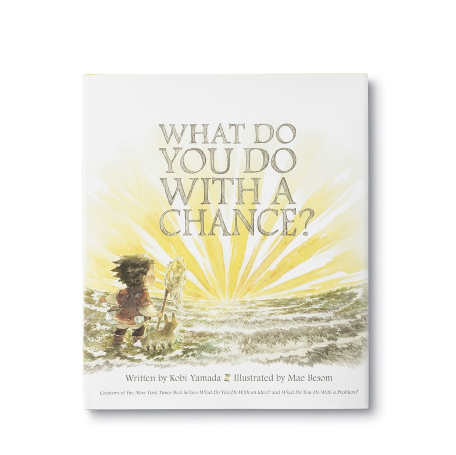 Toys & Activites Book | What Do You Do With A Chance; Book