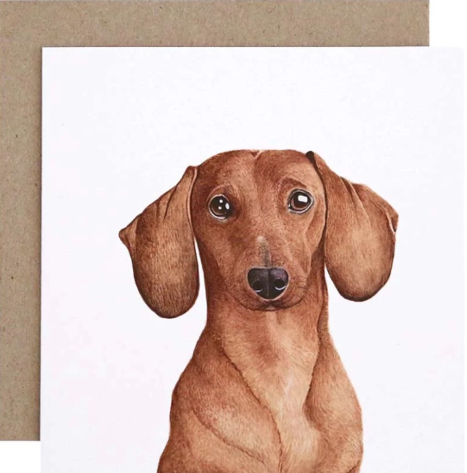 For Mums & Dads For Me By Dee | Duke The Dachshund Greeting Card