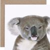 For Mums & Dads For Me By Dee | Kev The Koala Greeting Card