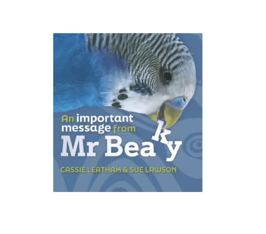 Toys & Activites Brolly Books | An Important Message From Mr Beaky