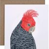 For Mums & Dads For Me By Dee | Gi Gi The Gang Gang Cockatoo Greeting Card