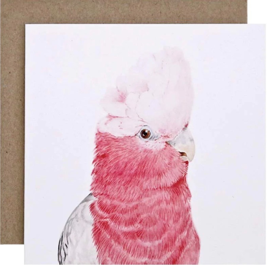 For Mums & Dads For Me By Dee | Gary The Galah Greeting Card